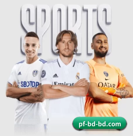 半岛体育平台围绕看球场景设计的核心服务 | BANDAO SPORTS
